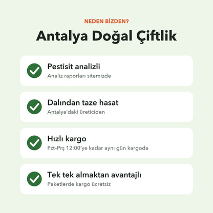 Neden Antalya Doğal Çiftlik: pestisit analizli, dalından taze hasat, pazartesi–perşembe 12:00’ye kadar aynı gün kargo, paketlerde kargo ücretsiz