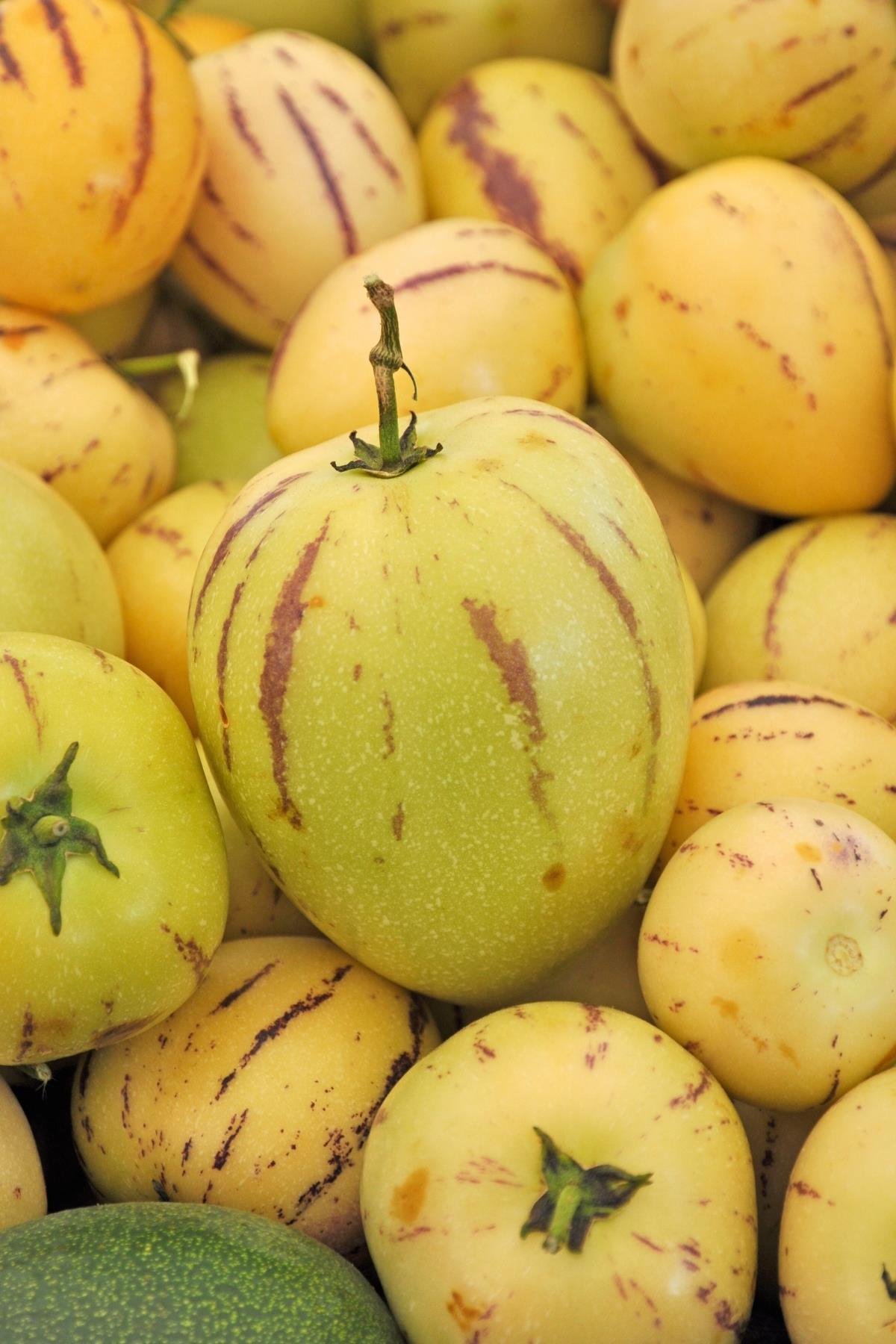 Pepino (Melon Pear)