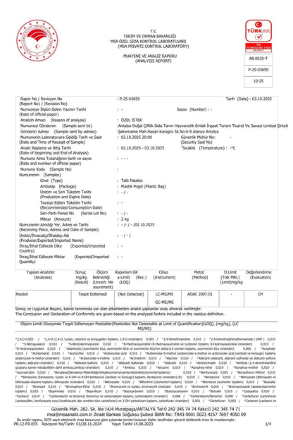 Sweet Potato 500g Pk