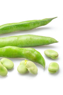 Fresh Broad Beans 500g Pack