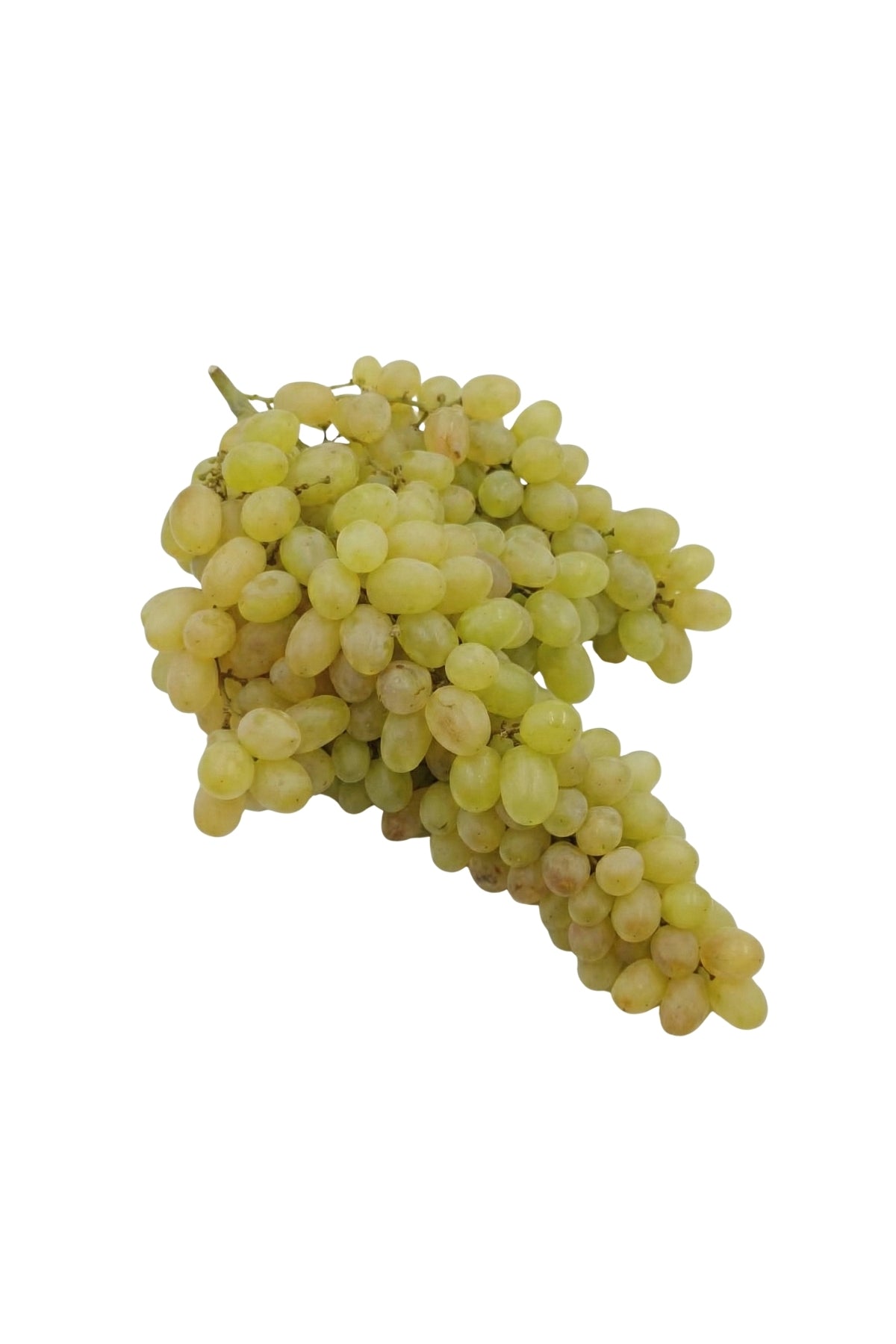 Fresh Seedless Green Grapes 500g Pack