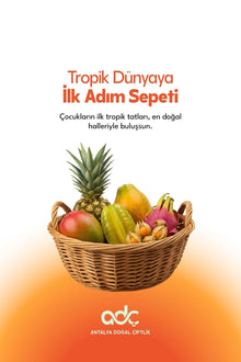 First Step to the Tropic World Basket