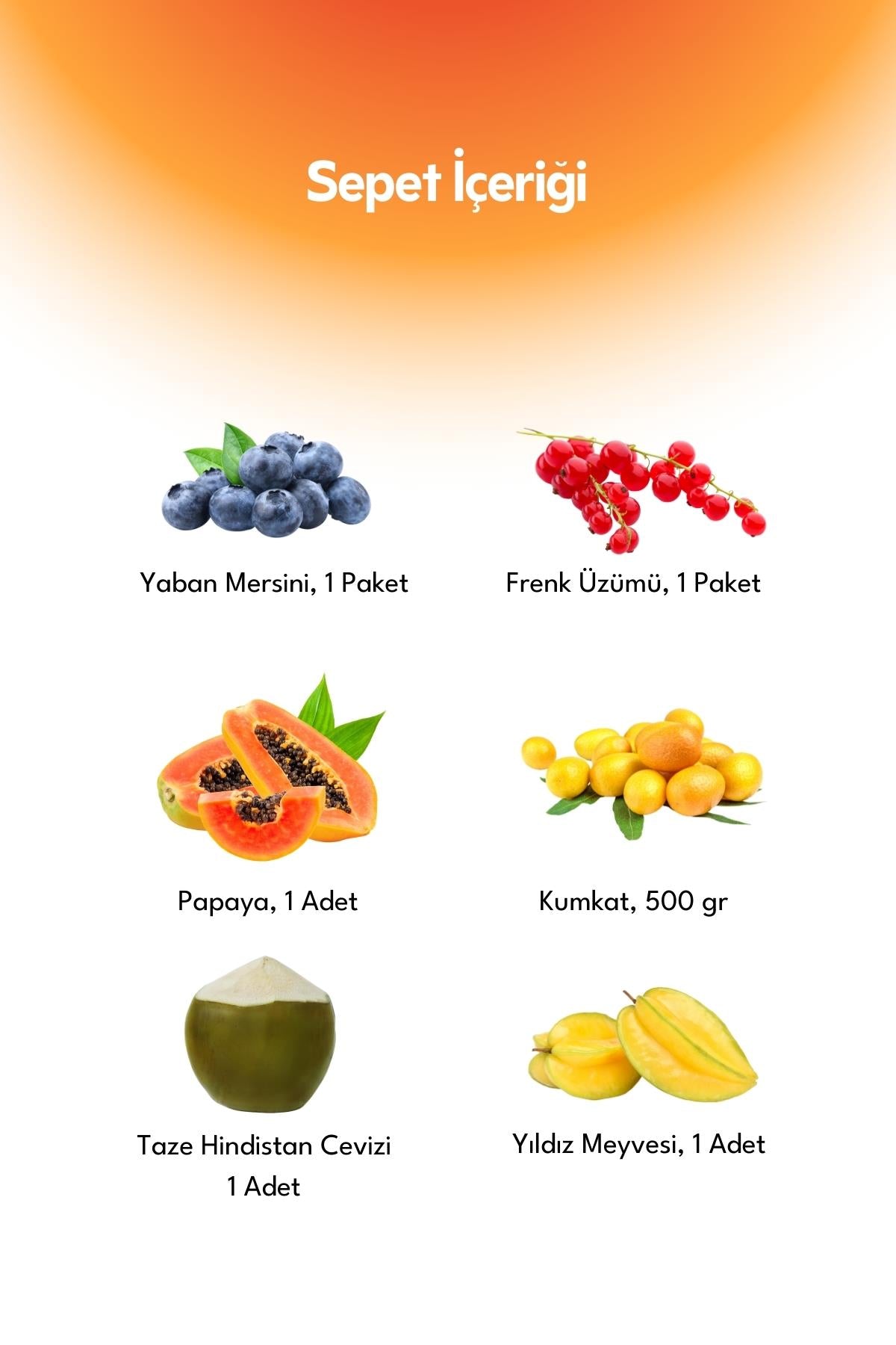 First Step to the Tropic World Basket