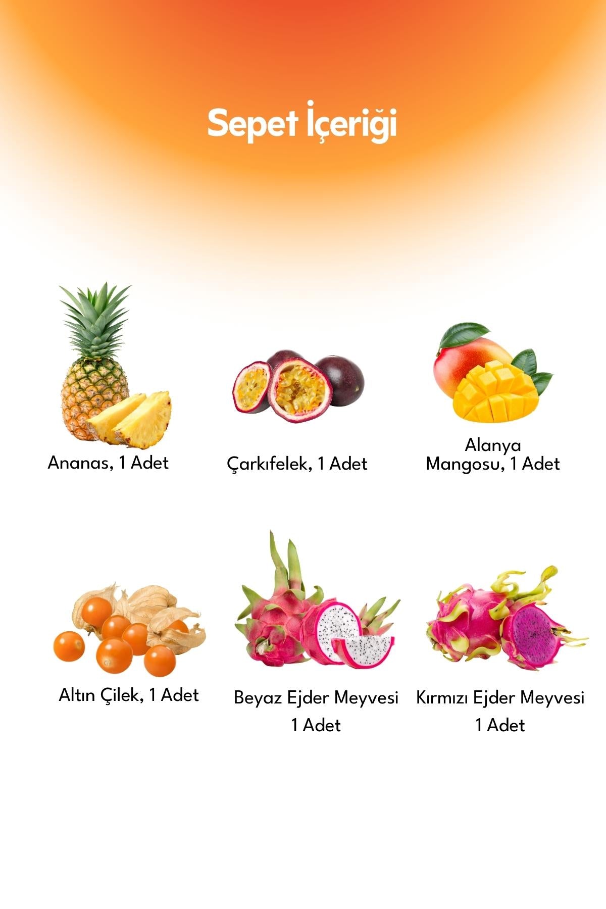 First Step to the Tropic World Basket