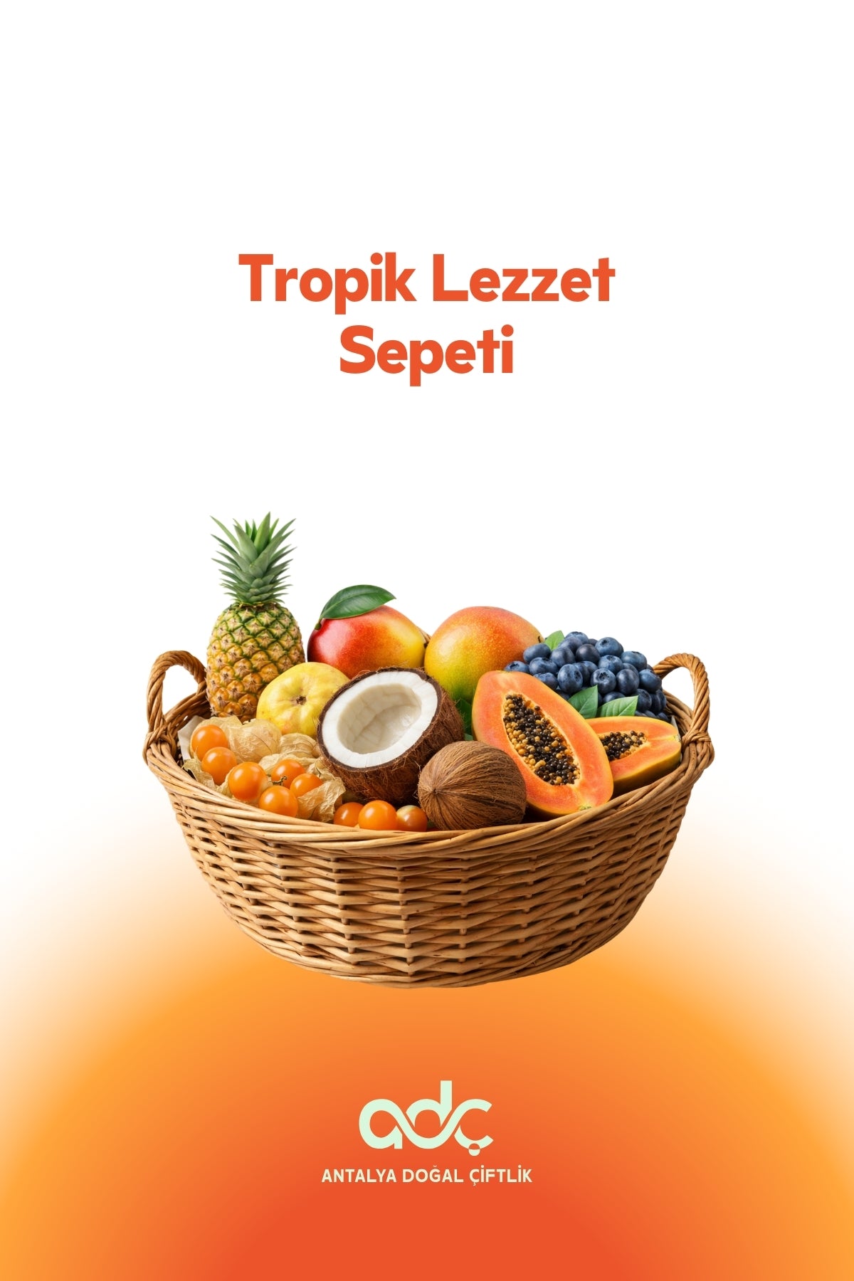 Tropical Taste Package (My Tropical Fruit Basket)