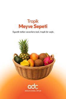 Tropical Fruit Basket