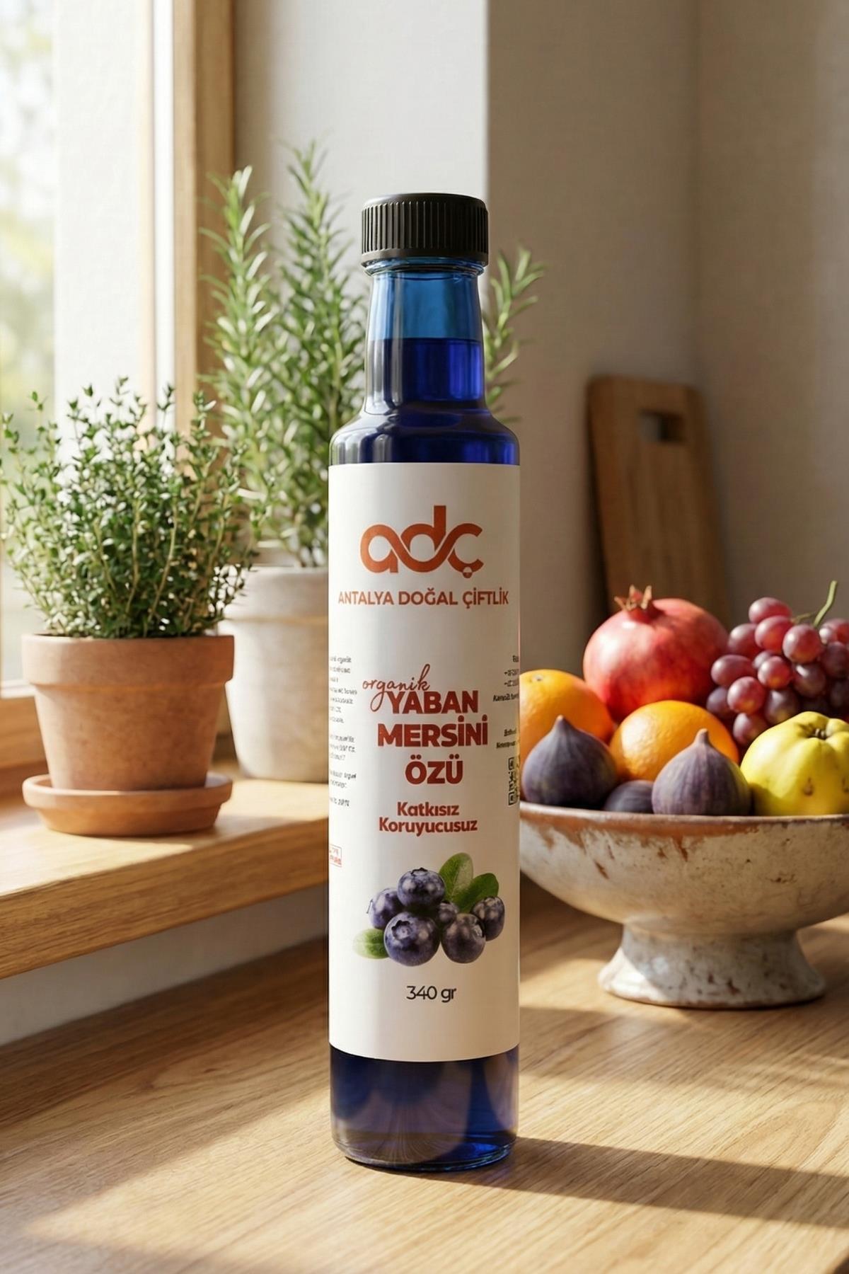 Blueberry Extract 340 Gram Glass