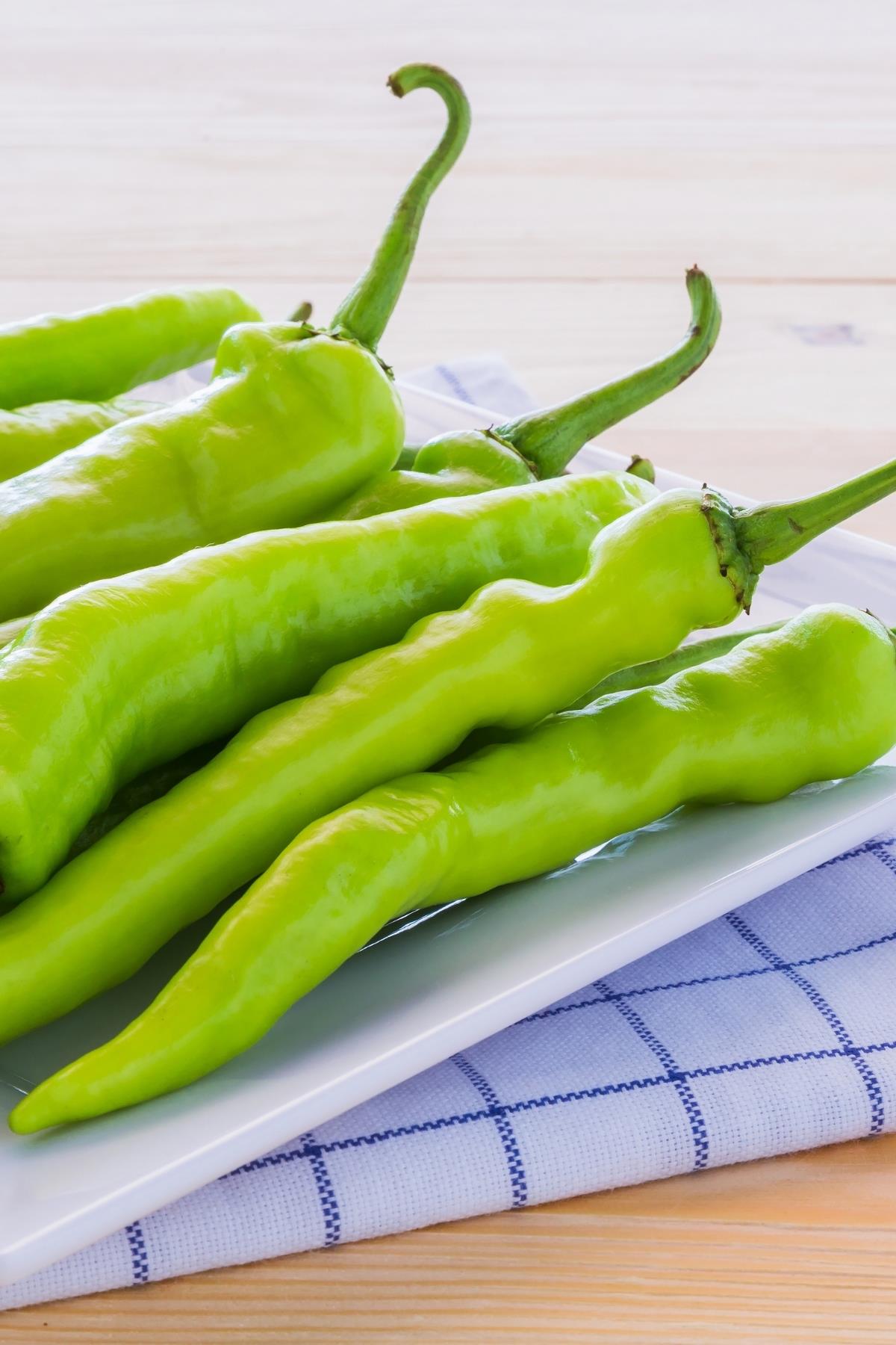 Green Charleston Pepper 500 Gr