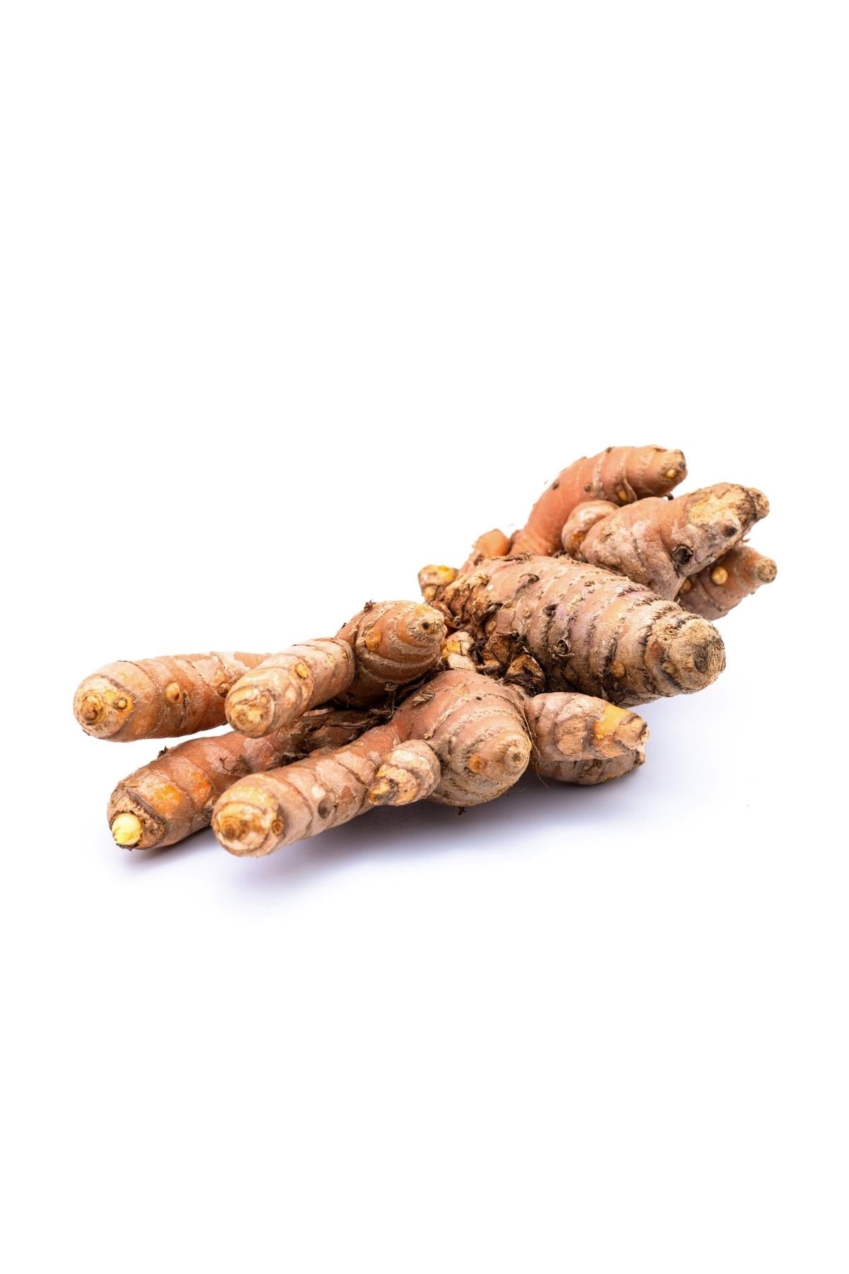 Turmeric 100 Gr Pk